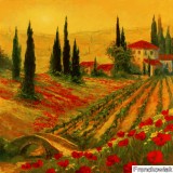Click to View Poppies of Toscano I